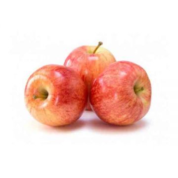 Apple Royal Gala Beauty South Africa