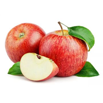 Apple Royal Gala 1.5kg Italy