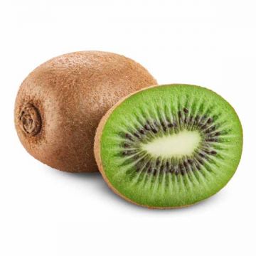 Kiwi Green Newzealand
