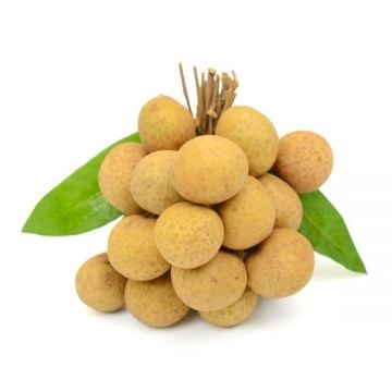 Longan 500gm Thailand