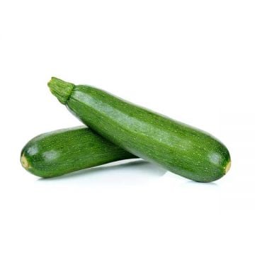 Zucchini Green Uae