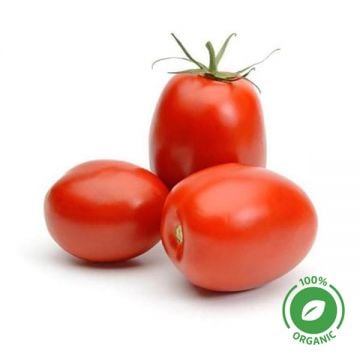 Tomato Organic Uae