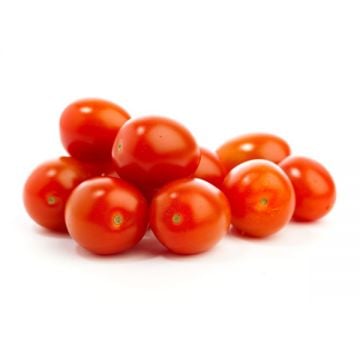 Daf Tomato Organic Uae