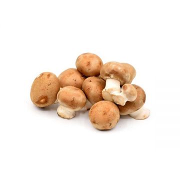 Mushroom Brown 250gm Uae