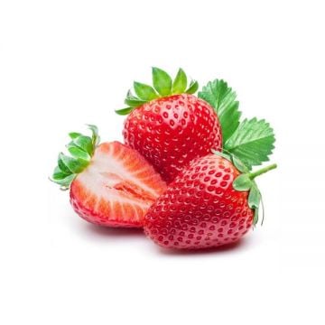 Strawberry 250gm Morocco