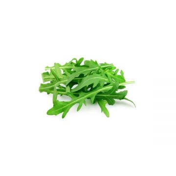 Lettuce Rocket 125gm Italy