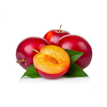 Plums Red (aprox 750gm) Iran