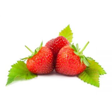 Strawberry 250gm 250gm South Africa