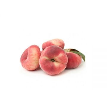 Peaches 800gm Jordan