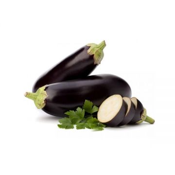 Eggplant Seedless Uae