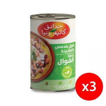 California Garden Canned Fava Beas Unpeeled With Tahina 3x450gm