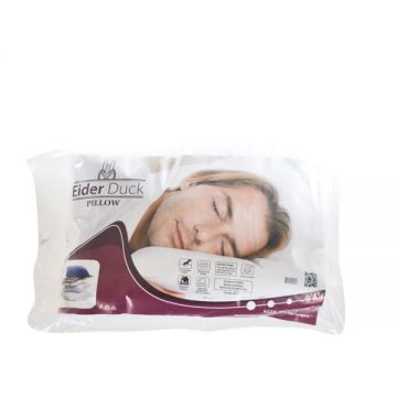 Eider Duck Pillow