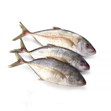 Fresh Jesh/malabar