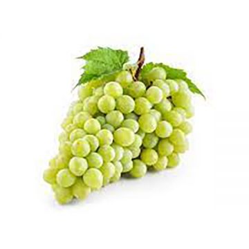 Grapes White Seedless Africa