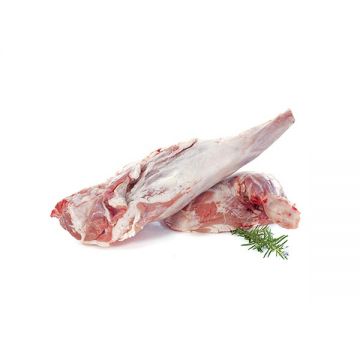 Lamb From (9 Kg To 16 Kg )ab4