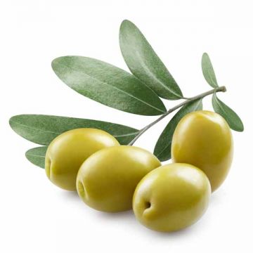 Al Sannaa Green Olive Tufahi Medium