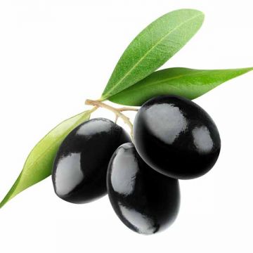 Al Sannaa Black Olives Idlibi Small