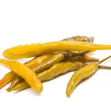 Mexican Yellow Pepper