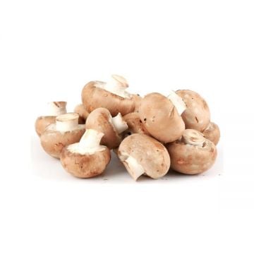 Mushroom Brown 250gm Oman