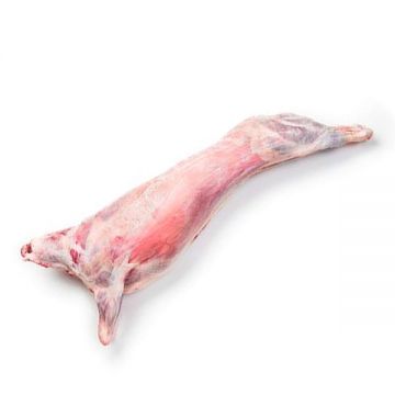 Lamb Kazakhstan