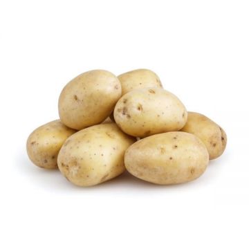 Potato White Mini 500gm Australia