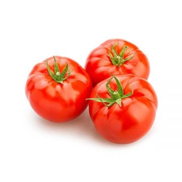 Organic Tomato Beef Uae