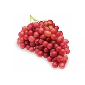 Grapes Red 500gm India