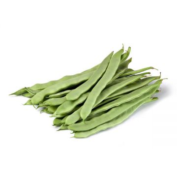 Green Beans Flat Prime By Air Lebanon