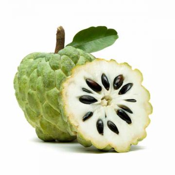 Custard Apple Prime By Air Lebanon