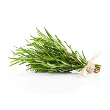 Rosemary Prime Air  (200g) Lebanon