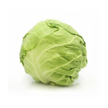 Cabbage Green Prime By Air Lebanon