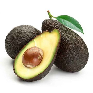 Avocado Hass Prime By Air Lebanon