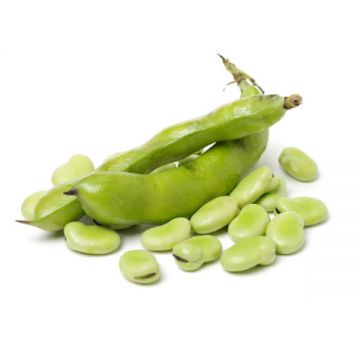 Broad Beans Prime By Air Lebanon