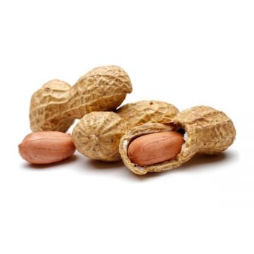 Peanut India