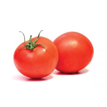 Tomato Loose Organic Uae