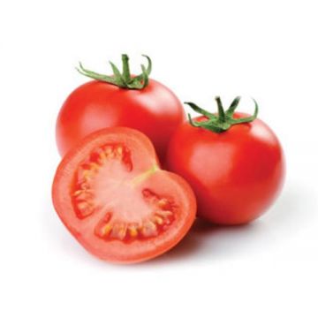 Tomato Loose Organic Uae