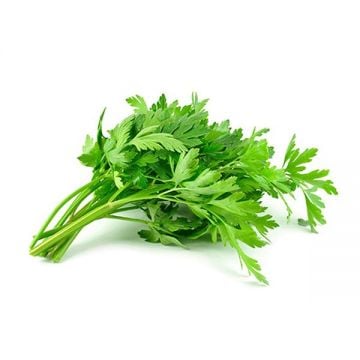 Parsley Leaves Uae