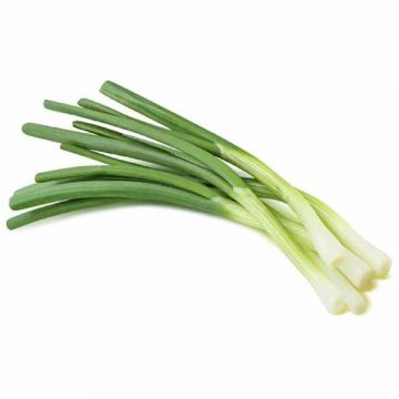 Spring Onion Uae