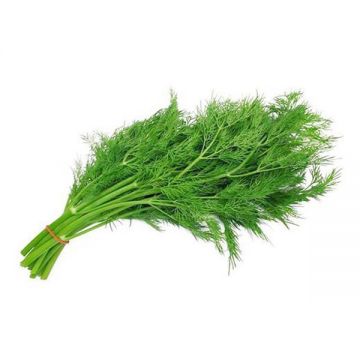 Dill Leaves Uae