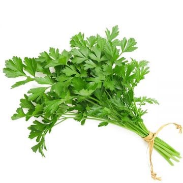 Parsley Leaves Premium Uae