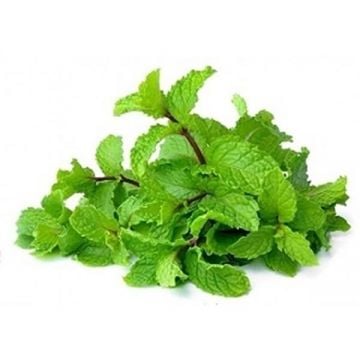 Mint Leaves Premium Uae