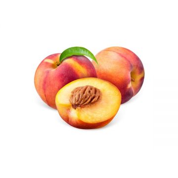 Nectarine By Air Lebanon