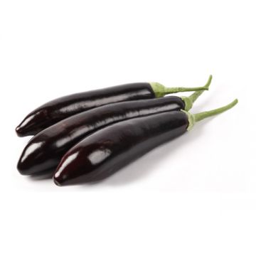 Eggplant Long Lebanon
