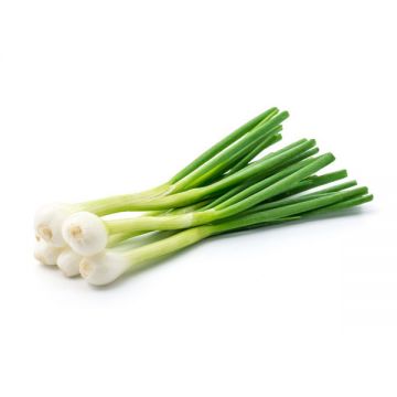 Spring Onion Leaves Premium Uae