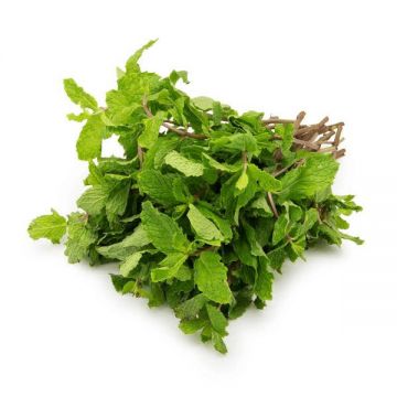 Mint Leaves Premium Uae