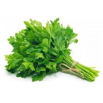 Parsley Leaves Uae