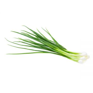 Spring Onion Leaves Uae