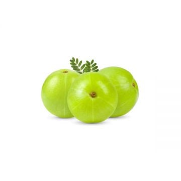 Gooseberry / Amla India