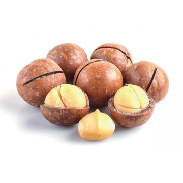 Al Rahi Macadamia Shell