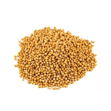 Al Rahi Mustard Seed